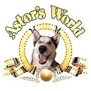 Astor's World